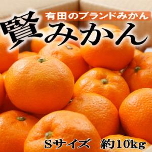 「先行受付2026年11月から発送」[秀品]和歌山有田ブランド「賢みかん」約10kg(Sサイズ)