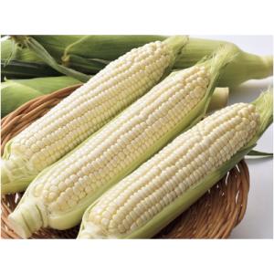 アイテムID:365233の画像1枚目