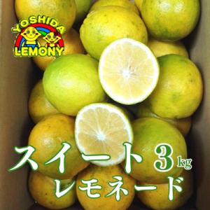 先行予約 レモン 食べるレモンスイートレモネード 3kg