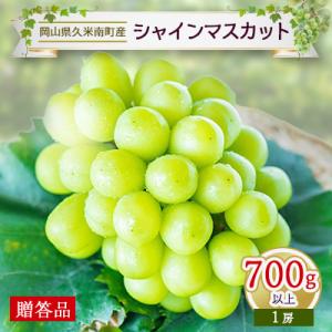 〈2026年発送〉岡山名産【晴王】シャインマスカット700g以上(1房)【贈答品】久米南町産