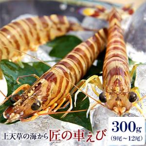 匠の車えび【活き締め急速冷凍】300g(9尾～12尾)