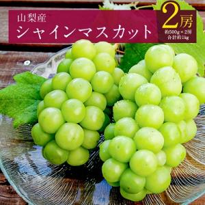 ふるさと納税 山梨市 【2024年先行受付】山梨産シャインマスカット2房(約1kg) ふるさと納税