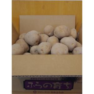 ふるさと納税 上富良野町 蔵出し熟成じゃがいも『黄爵』約10kg