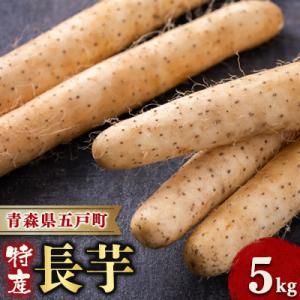 【青森県五戸町特産】長芋　5kg
