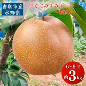 「香取市産水郷梨」新高1箱約3kg(6玉～8玉入り)