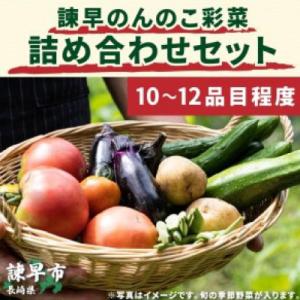 諫早のんのこ彩菜・詰め合わせセット
