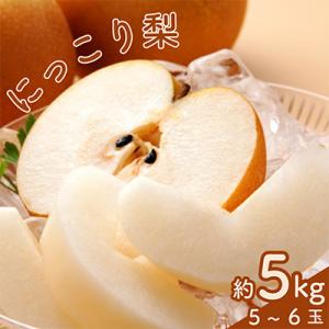にっこり梨1箱(5個～6個)