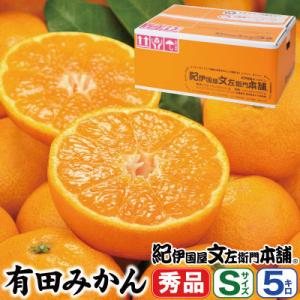 先行受付　ブランド有田みかん【S】秀品5kg/薄皮で甘い美味しいみかん/産地直送