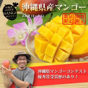 【農園直送】沖縄県うるま市産「おじーのマンゴー」1箱(4～5玉)約2kg