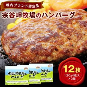 【稚内ブランド認定品】宗谷岬牧場のハンバーグ　120g4枚入×3箱(合計12枚)