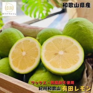 ≪先行受付・2026年9月末～発送≫【国産】紀州和歌山　有田レモン　3kg