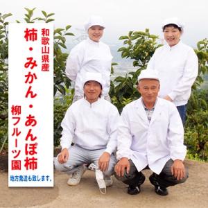 ふるさと納税 橋本市 あんぽ柿【先行受付】柳フ...の詳細画像2