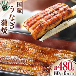 【ての字】国産うなぎ6枚セット