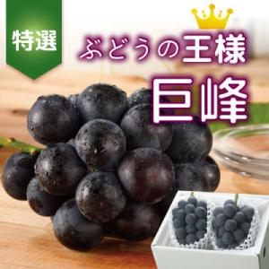 ふるさと納税 山梨市 【2026年発送】山梨産 巨峰(種無し) 2房 約1kg 化粧箱入り
