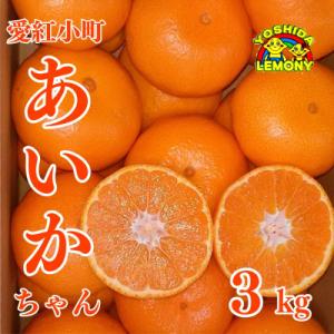 先行予約 みかん 愛紅小町 あいかちゃん 3kg