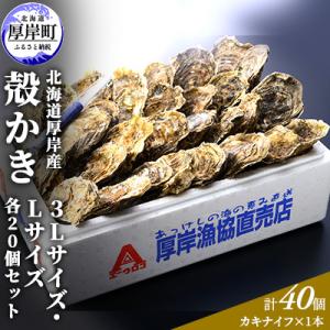 厚岸産 殻かき3L20個・L20個セット