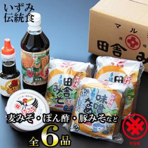 ふるさと納税 出水市 いずみ伝統食セット　