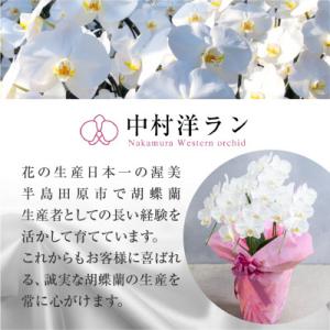 ふるさと納税 田原市 【ラッピング仕様】中村洋...の詳細画像2