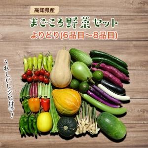 ふるさと納税 須崎市 南国高知より まごころ野菜セット【よりどり】