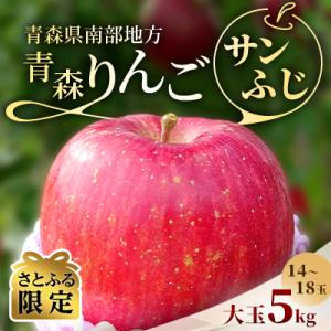 青森りんご　サンふじ　大玉　5kg【さとふる限定】
