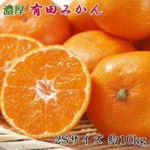 ふるさと納税 湯浅町 [秀品]和歌山有田みかん10kg(2Sサイズ)「2025年11月中旬順次発送分...