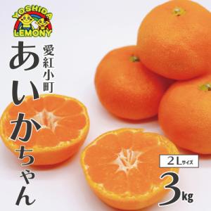 先行予約 みかん 愛紅小町 あいかちゃん 2Lサイズ 約3kg