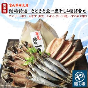 【鱈場特選】きときと魚一夜干し!氷見産4種詰合せ《鯵・かます・鰯・するめ》