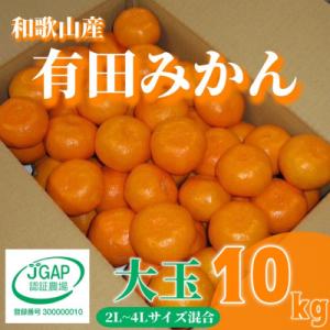 先行受付2026年11月より順次発送【まごころ手選別】有田みかん10kg大玉(2L～4L混合)