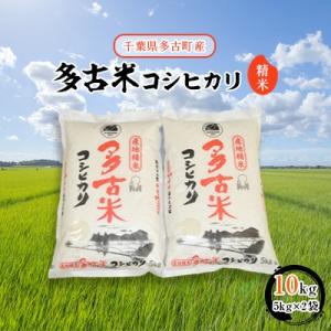 【令和7年産】多古米コシヒカリ　精米10kg(5kg×2袋)
