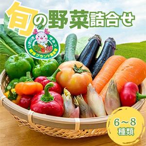JAきみつ 旬の野菜詰合せ(6～8種)