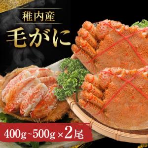 ふるさと納税 稚内市 稚内産毛がに　400〜500g×2尾