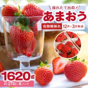 ふるさと納税 上毛町 【完熟朝採れ】福岡県産ブランドいちご(12月-3月発送)あまおう(270g×6パック)