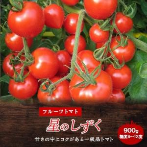 ふるさと納税 阿波市 フルーツトマト「星のしずく」　900g　