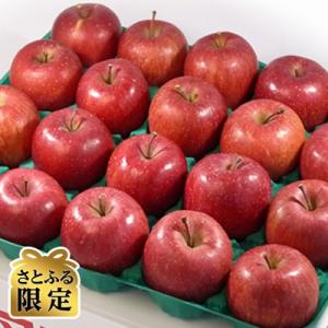 青森りんご　サンふじ　中玉　5kg【さとふる限定】