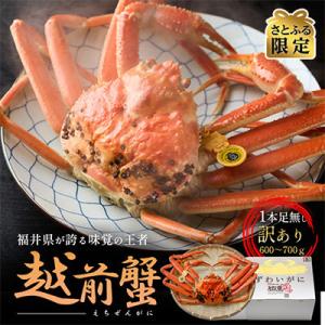 【さとふる限定】訳あり茹で越前ガニ　600g以上～700g未満×1杯(脚折れあり)