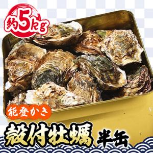 能登牡蠣 殻付牡蠣半缶/約5㎏(約40～50個)専用ナイフ、片手用軍手付　※加熱用