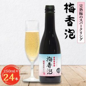 ＜完熟梅のスパークリング＞　梅香泡(うめかほう)　24本入