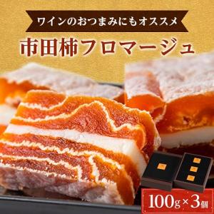 【ワインのおつまみにもオススメ】市田柿フロマージュ　100g×3個