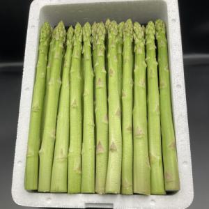 銀山アスパラガス　2L　2kg