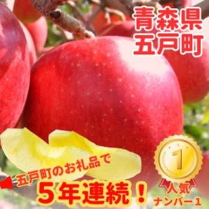 ふるさと納税 五戸町 【青森ごのへ産】味に自信 りんご サンふじ 約5kg