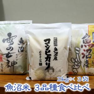 ふるさと納税 魚沼市 【令和6年産】《魚沼産米》...の商品画像