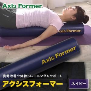 ふるさと納税 枚方市 アクシスフォーマー ロングポール (ネイビー)