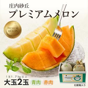 山形県庄内産　プレミアムメロン赤青2玉入