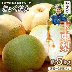 ふるさと納税 玉東町 【先行受付】ぎょくだんヤスの玉東梨(約5kg入り)