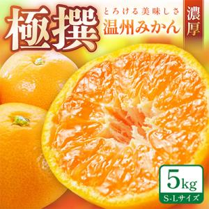 『濃厚な味のとろける美味しさ』 温州みかん 約5kg 和歌山産