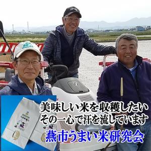 ふるさと納税 燕市 令和6年産新潟県特別栽培コシヒカリ「つばめ返し」10kg(5kg×2袋)｜さとふる