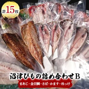 ふるさと納税 沼津市 沼津ひもの詰め合わせB　(まあじ・金目鯛・さば・かます・ほっけ)