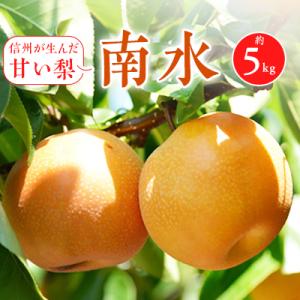 ふるさと納税 津山市 【きよとうファーム】あたご梨 ご家庭用/約 ふるさと納税 津山市 【きよとうファーム】あたご梨 ご家庭用/約