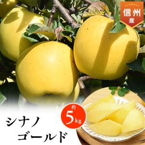 ふるさと納税 南箕輪村 2025年!信州のりんご【シナノゴールド】　約5kg
