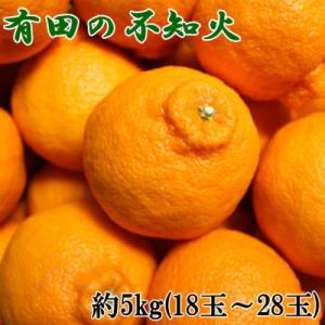 ふるさと納税 湯浅町 【濃厚春柑橘】有田産不知火約5kg(18玉〜28玉おまかせ)【湯浅町】